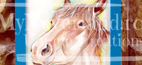 Ilustratie "Horse"