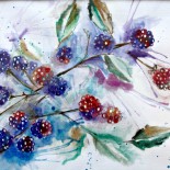 Ilustratie "Forest Fruits"