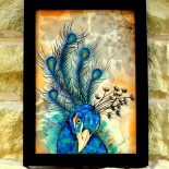 Ilustratie "Peacock"
