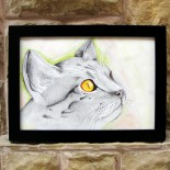Ilustratie "Grey Cat"