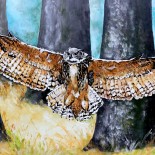 Tablou panza "Big Owl"